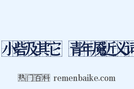 小砦及其它·青年魇近义词是什么意思的图片